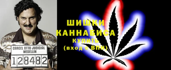твердый Арсеньев