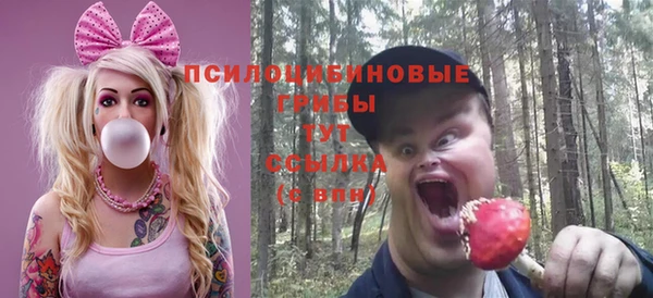 2c-b Аркадак