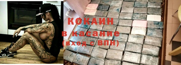 твердый Арсеньев