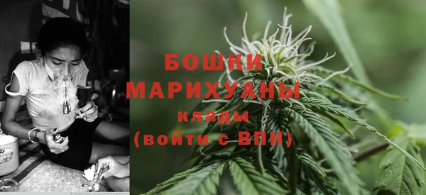 твердый Арсеньев